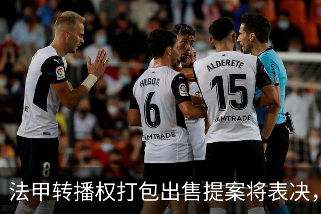 法甲转播权打包出售提案将表决，自营平台年入不足9000万欧